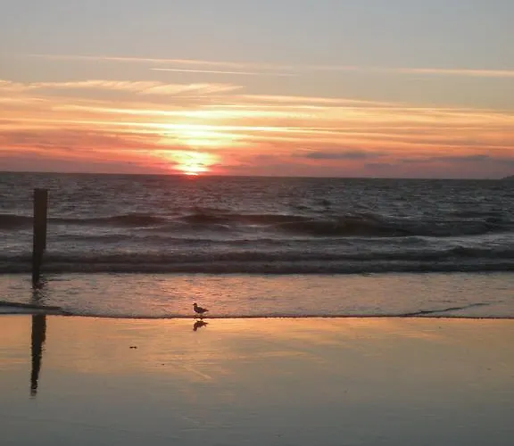 酒店 Logis Restaurant L'empreinte 圣米歇尔-谢夫谢夫